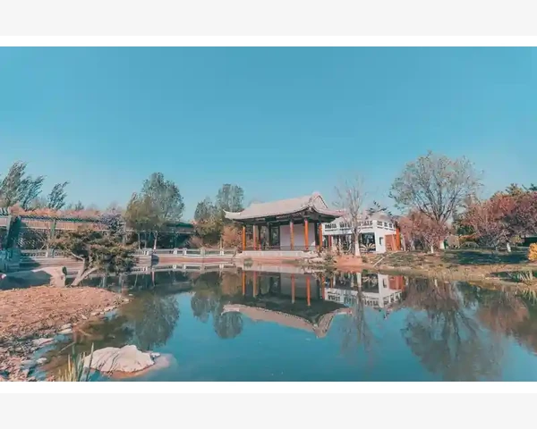 针灸缓解腰疼，饮食调理不可少！