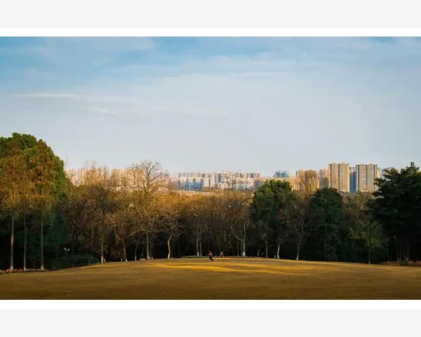 针灸的神奇疗效：现代医学与传统疗法的结合