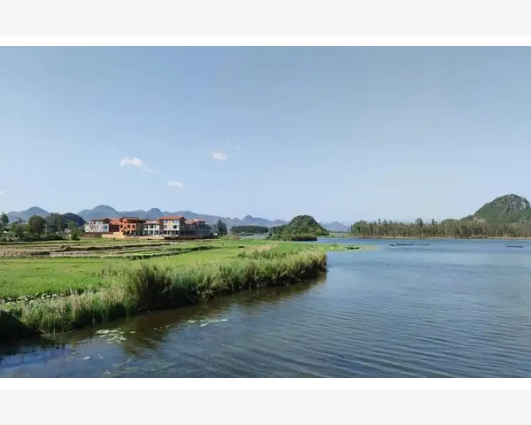健脾胃是保持身体健康的基石