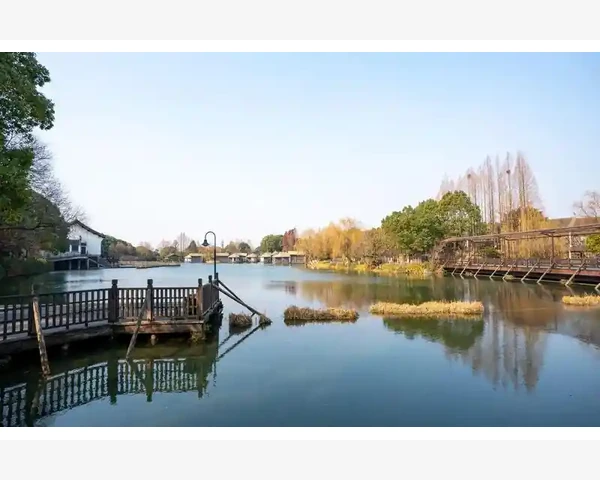 中医养生：探秘补血中药配方，赋予健康新生命